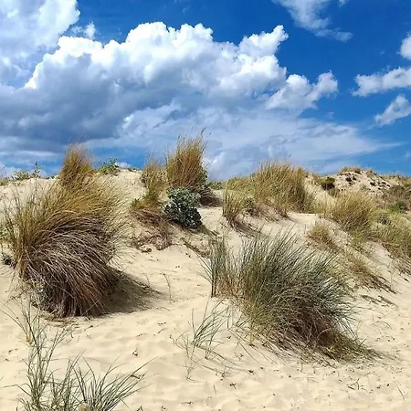Сasa de vacaciones Au Paradis Bleu Maison 6 Couchages Ok Chiens Jardin