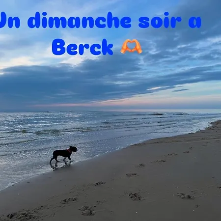 Au Paradis Bleu Maison 6 Couchages Ok Chiens Jardin Сasa de vacaciones